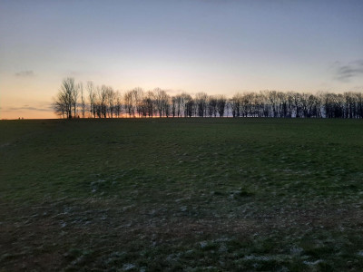 bfsunrise200123-1.jpg