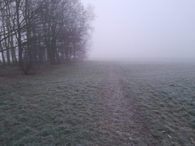 20230121_074437.jpg