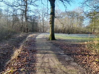 20230121_113826.jpg
