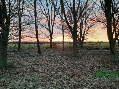 20230203_073129.jpg