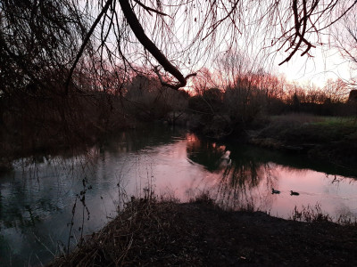 20230203_071900.jpg