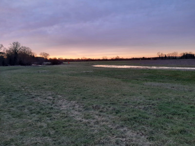 20230203_074755.jpg