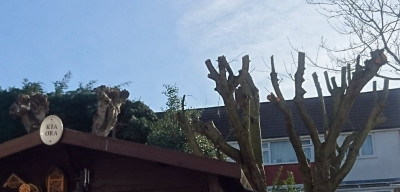 Her branch manager had called!!