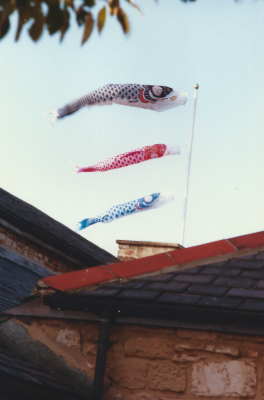 Kites 3.png