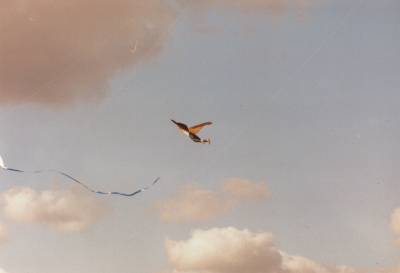 Kites 5.png