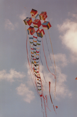 Kites 4.png