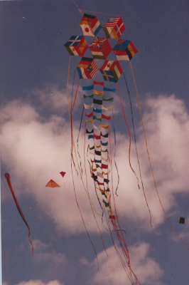 Kites 2.png