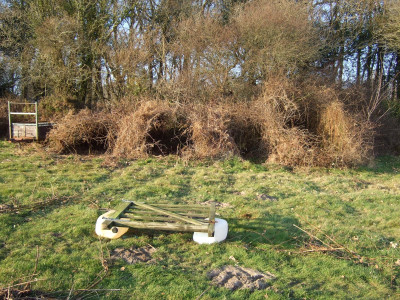 DSCF3099.JPG