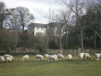 From the field next to All Saints Church