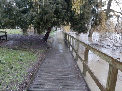 boardwalkfkood100323.jpg
