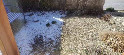 IMG_20230310_133058671.jpg