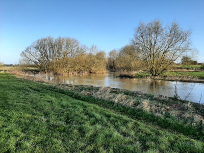 20230324_070948.jpg