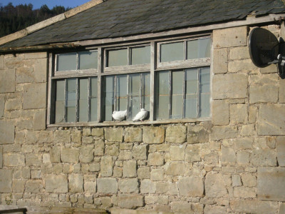 2 doves and a Satellite Dish