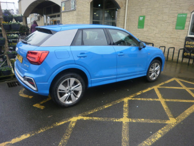 Dobbies Dazzler