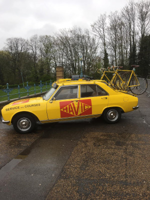 Pug504Mavic.jpg