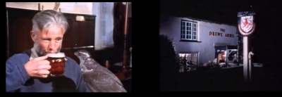 Screenshot from "The Goshawk" by David Cobham based on the book by T.H.White a 1968 Film With Duncan Carse as the Falconer