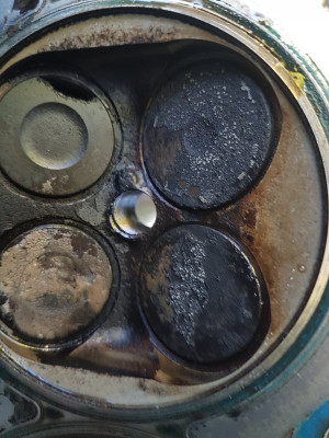 20230519_192520.jpg