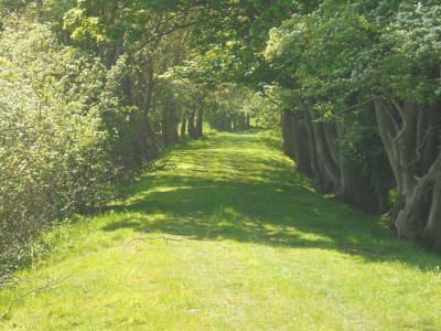 Shadows on the old railway track Roseden