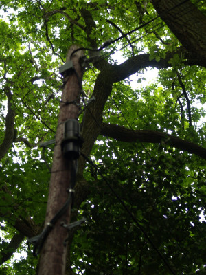 Fibre to the farmhouse
