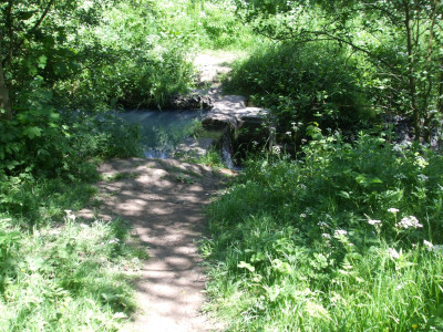DSCF3775.JPG