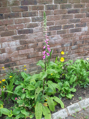 DSCF3794.JPG