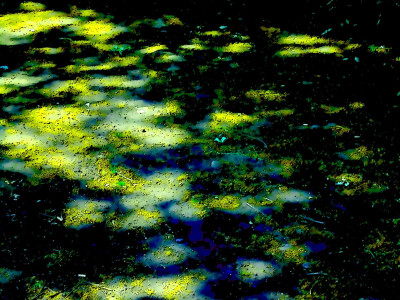 Colour light and shade on a restricted byway