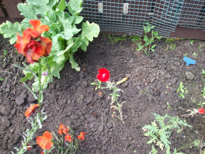 DSCF3854.JPG