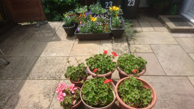 MTM Original - The patio pots