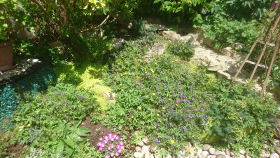 MTM Original - The waterfall and rockery