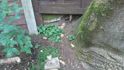 They come in through the back fence down their path