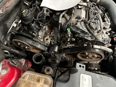 Timing Belt.jpeg