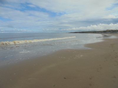 Falcon Original<br />Spittal Beach Berwick