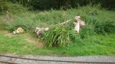 The logs they don't want anymore