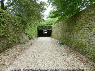 Cow Tunnel, Petworth Park - Dave Spicer