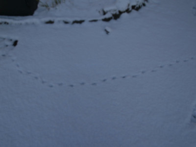 AA011142.JPG