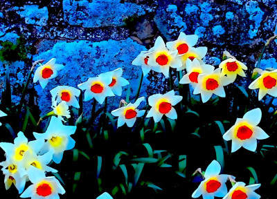 Wall and Flowers 2