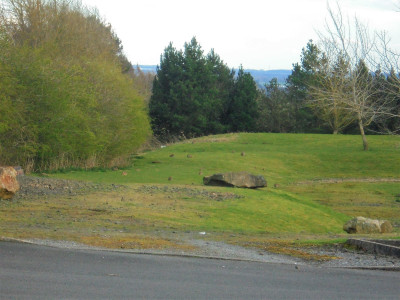 DSC06403 (2).JPG