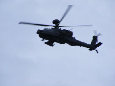 DSCF1711.JPG