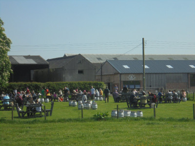 Beer Field