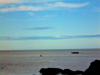 DSC07360 (2).JPG