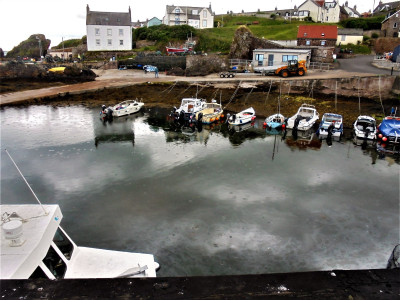 DSC07362 (2).JPG