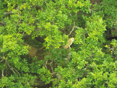 DSCF3990.JPG