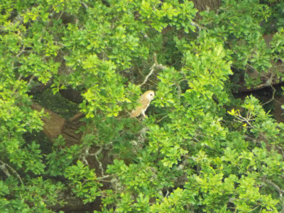 DSCF3989.JPG