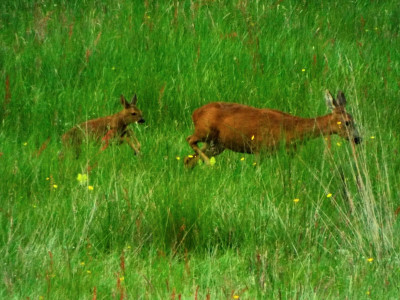 DSCF3950.JPG