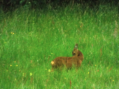 DSCF3949.JPG