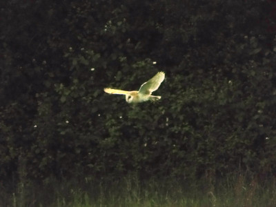 DSCF3969.JPG