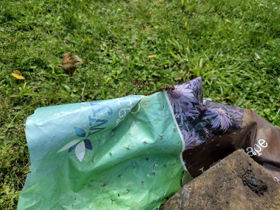 Wide angle lens of phone. What, a big of rubbish!?