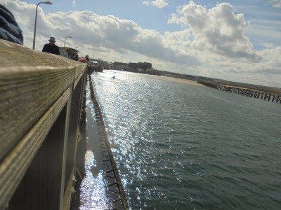DSC07547.JPG