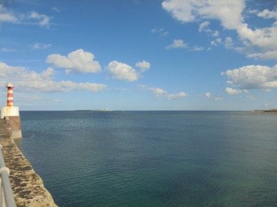 DSC07549.JPG