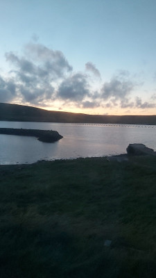 IMG-20240810-WA0005.jpeg